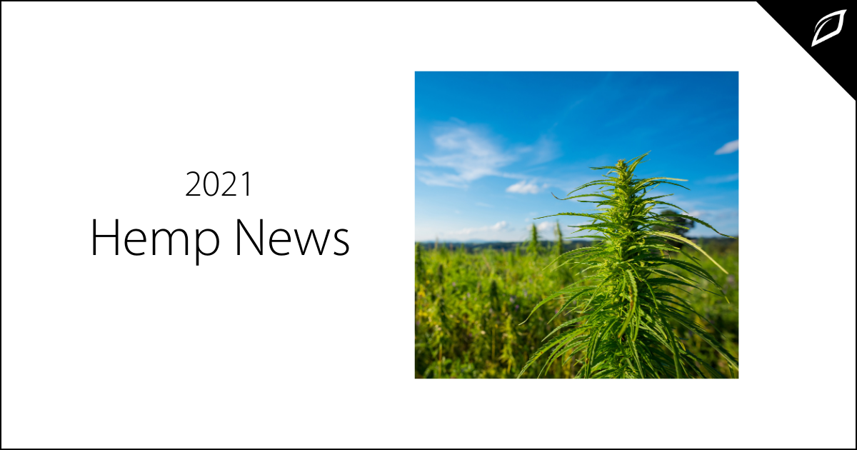 Hemp News in 2021 | Hemp Industry Update | Growlink