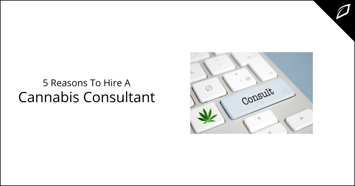 5 Reasons To Hire A Cannabis Consultant