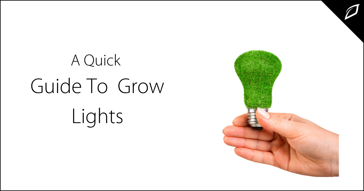 Which Growl Lights Should You Use For Your Indoor Farm | Growlink