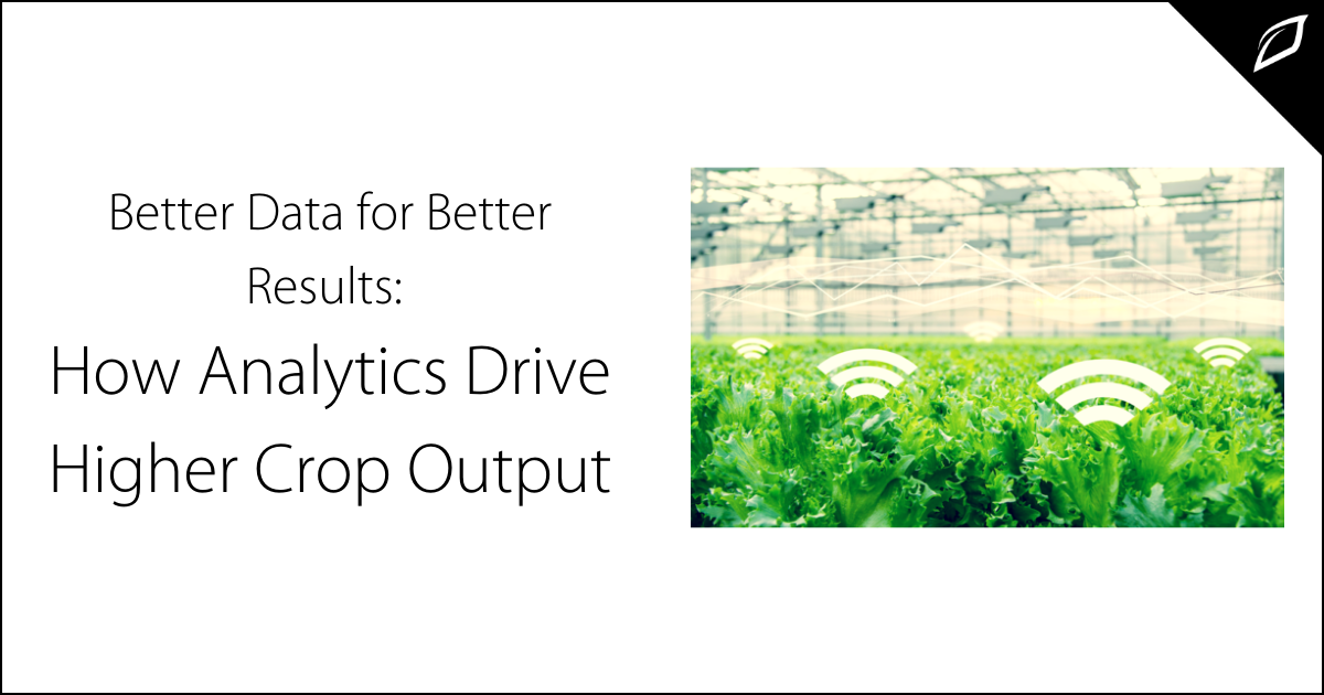 How Analytics Drive Higher Crop Output | Farming Data | Growlink