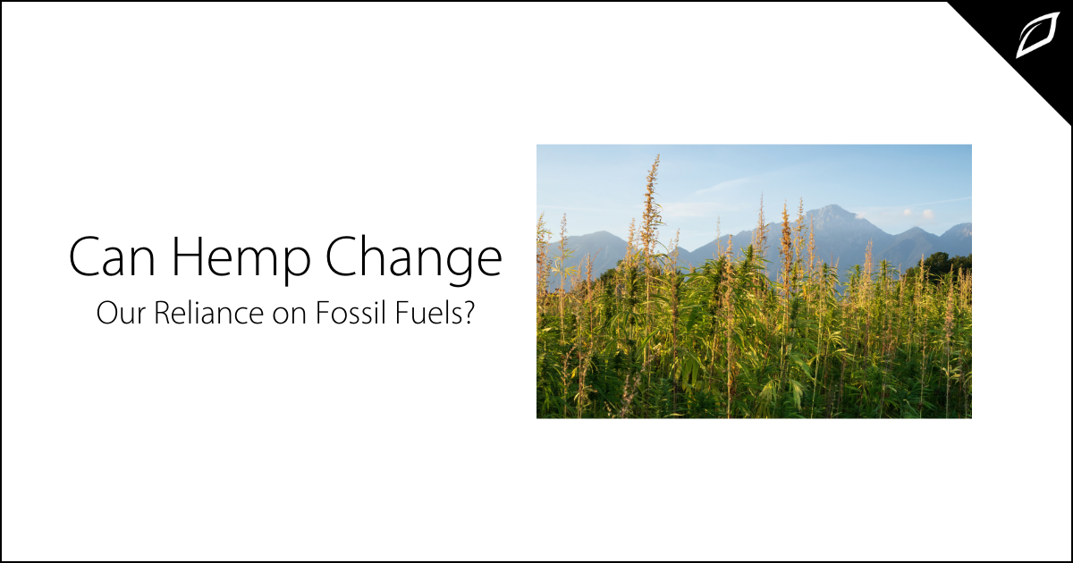 Can Hemp Change Our Reliance on Fossil Fuels?