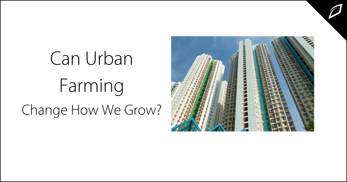 Can Urban Farming Change The Way We Grow?