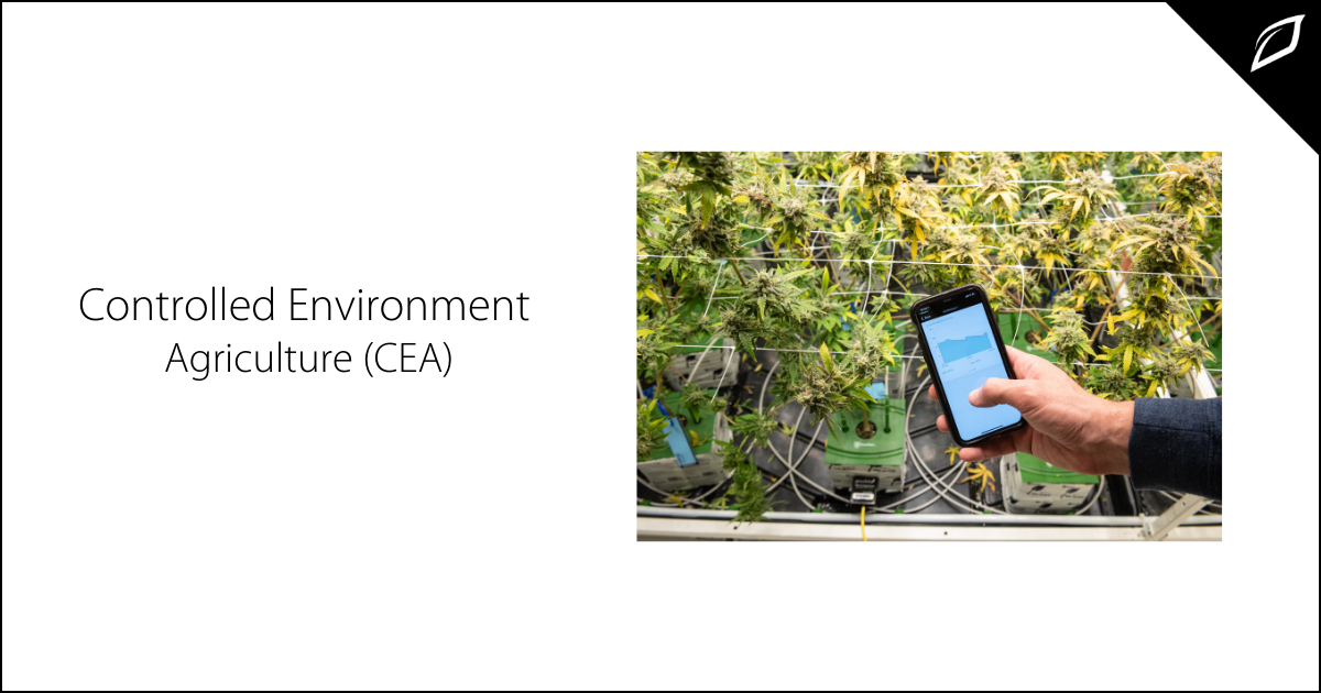Controlled Environment Agriculture (CEA) | Growlink