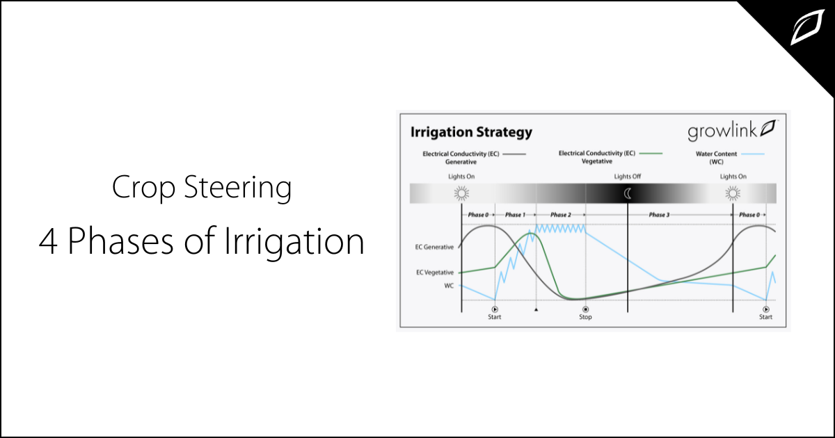 The 4 Phases of Irrigation in Crop Steering | Growlink