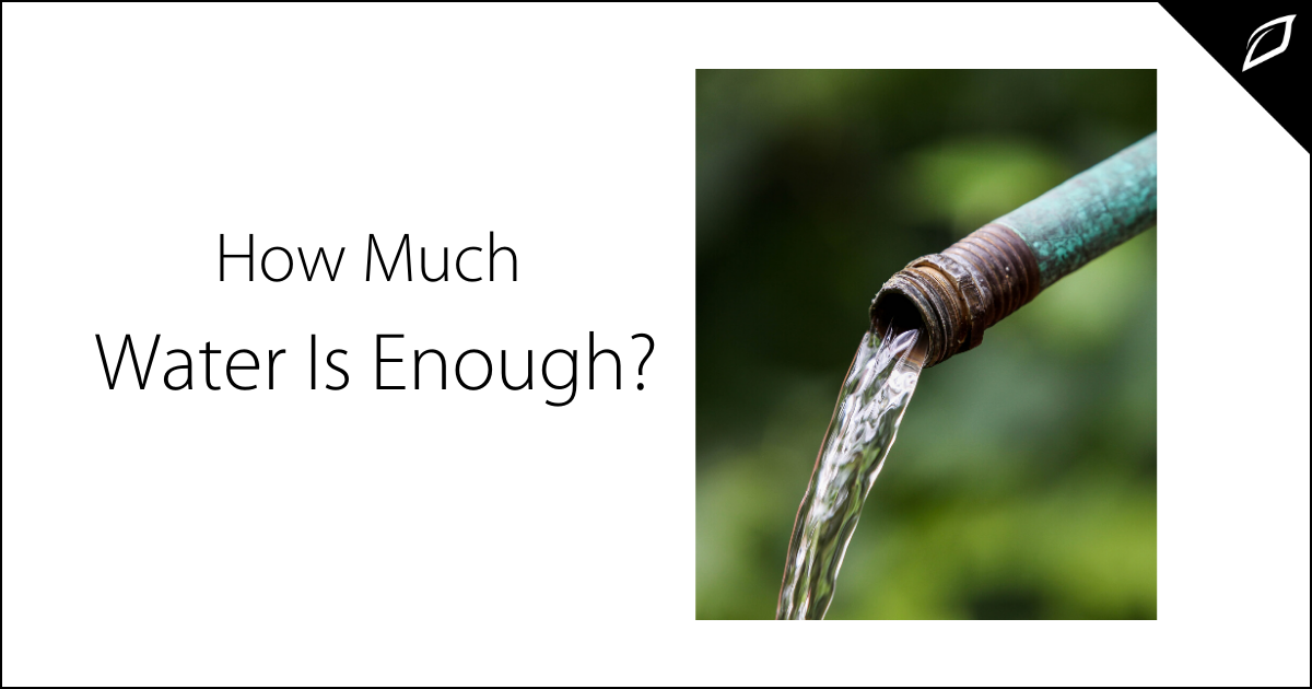 How Much Water Is Enough?
