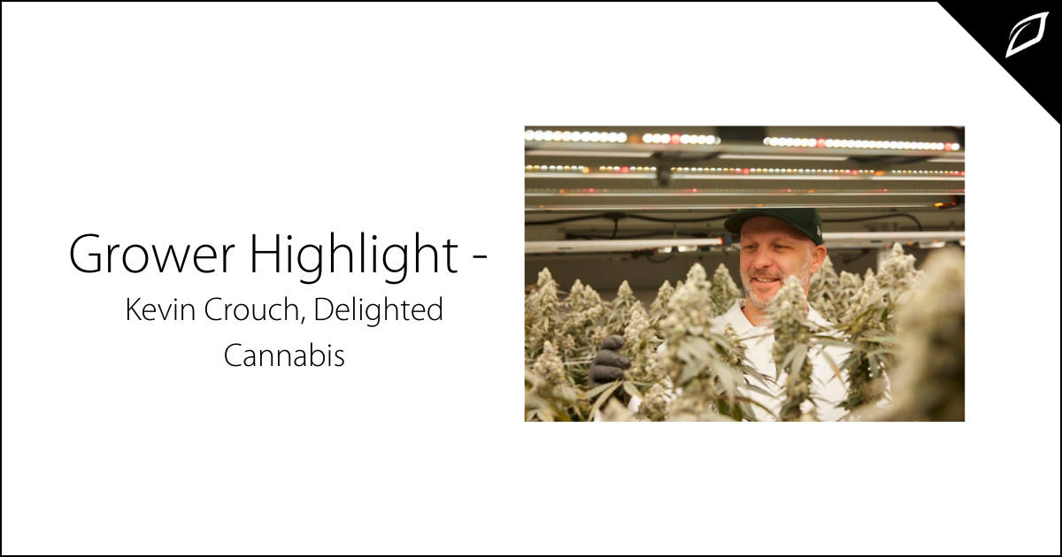 Grower Highlight - Kevin Crouch, Delighted Cannabis