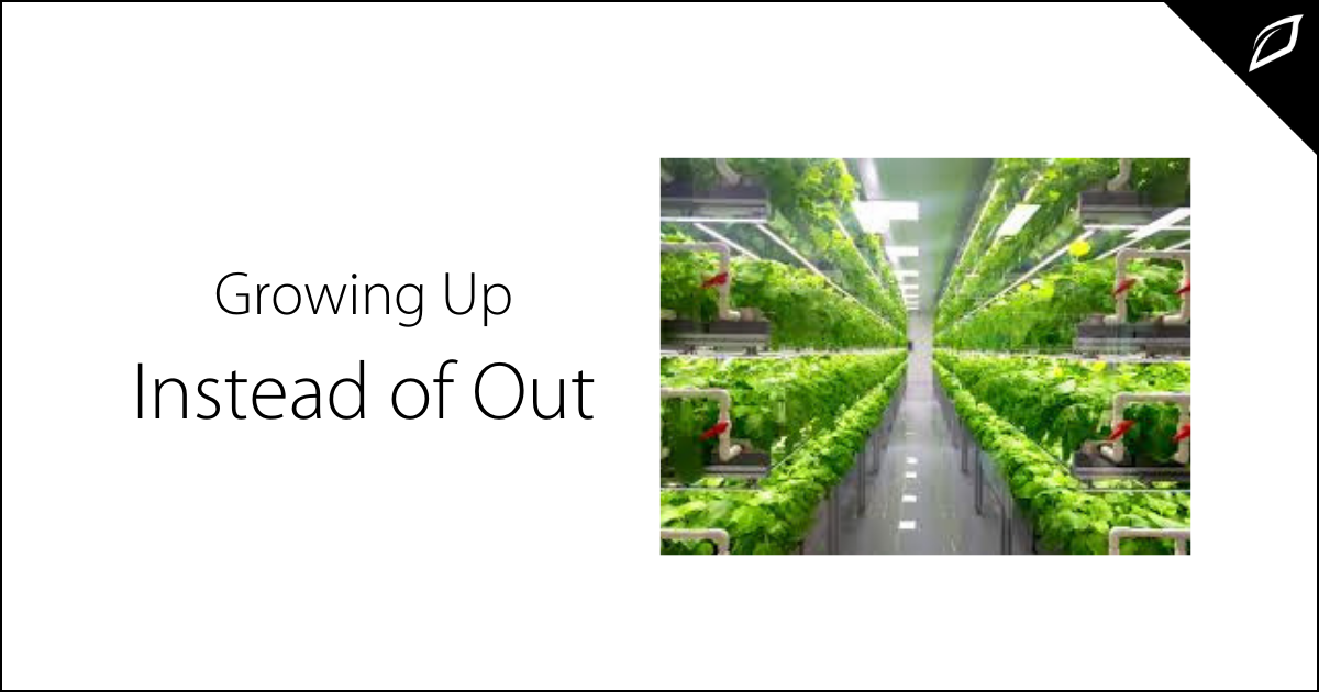Growing Up Instead Of Out | Vertical Growing Guide | Growlink