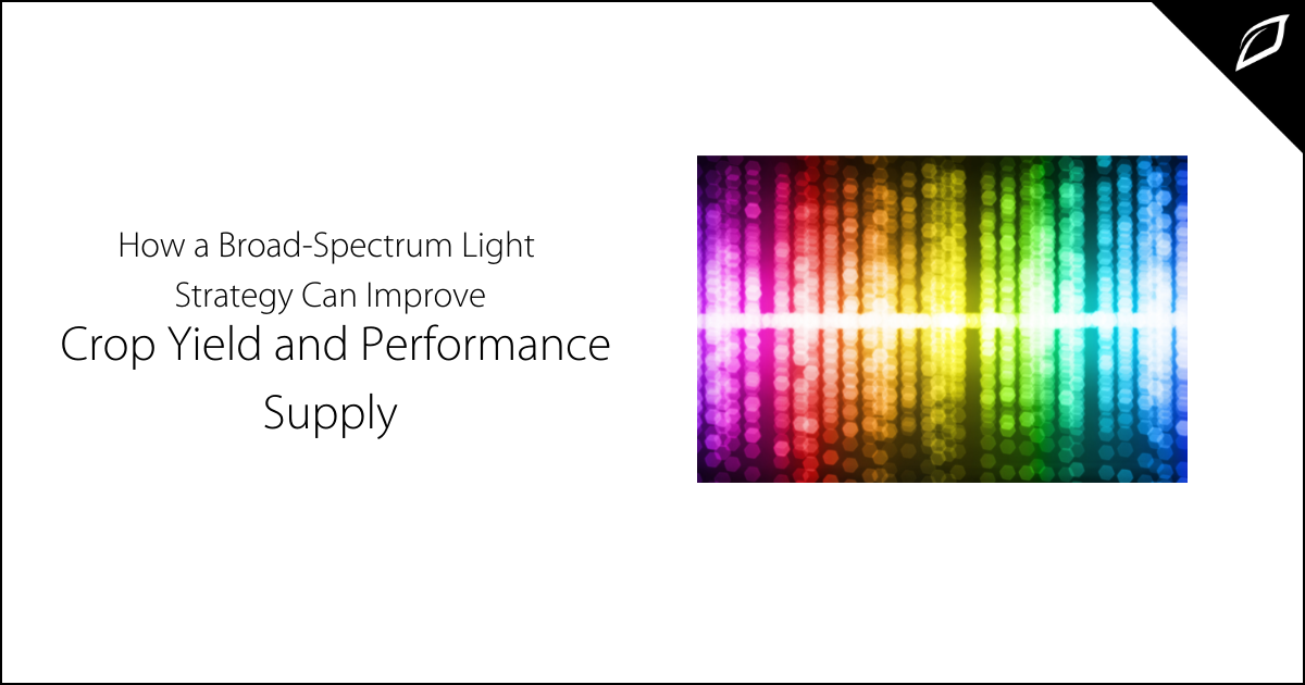 Can a Broad-Spectrum Light Strategy Improve Yields?