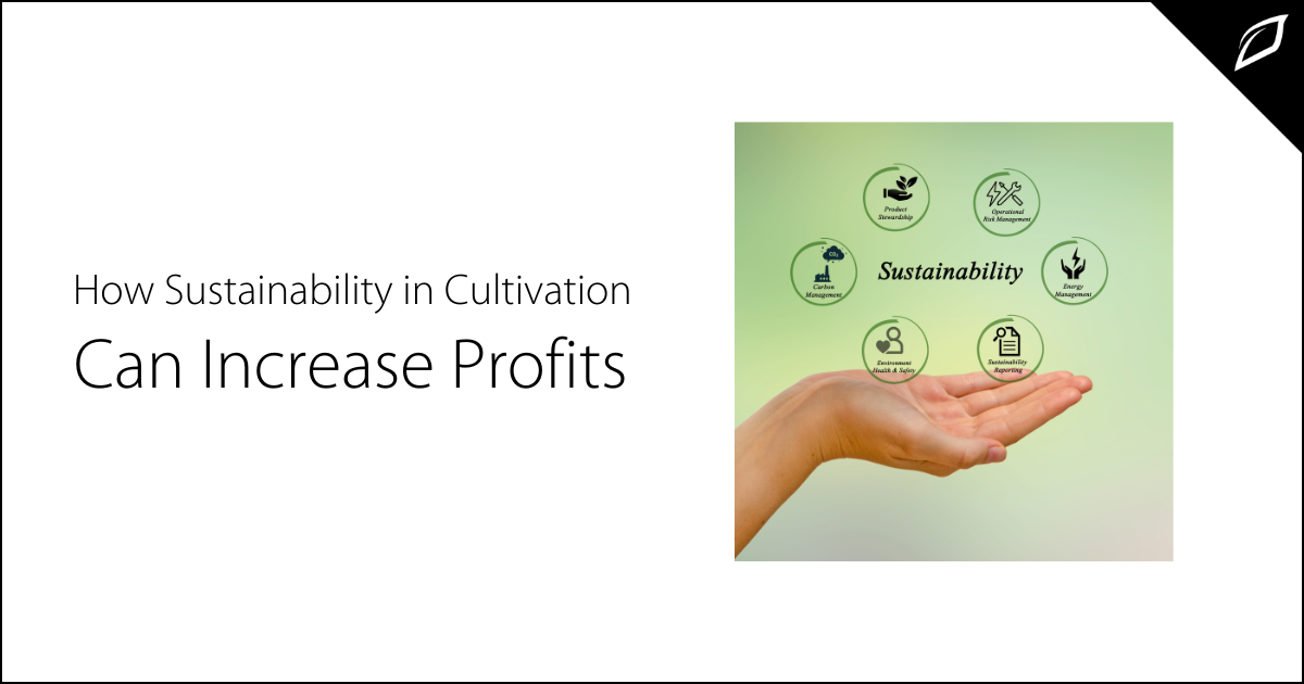 How Sustainability In Cultivation Can Increase Profits | Growlink