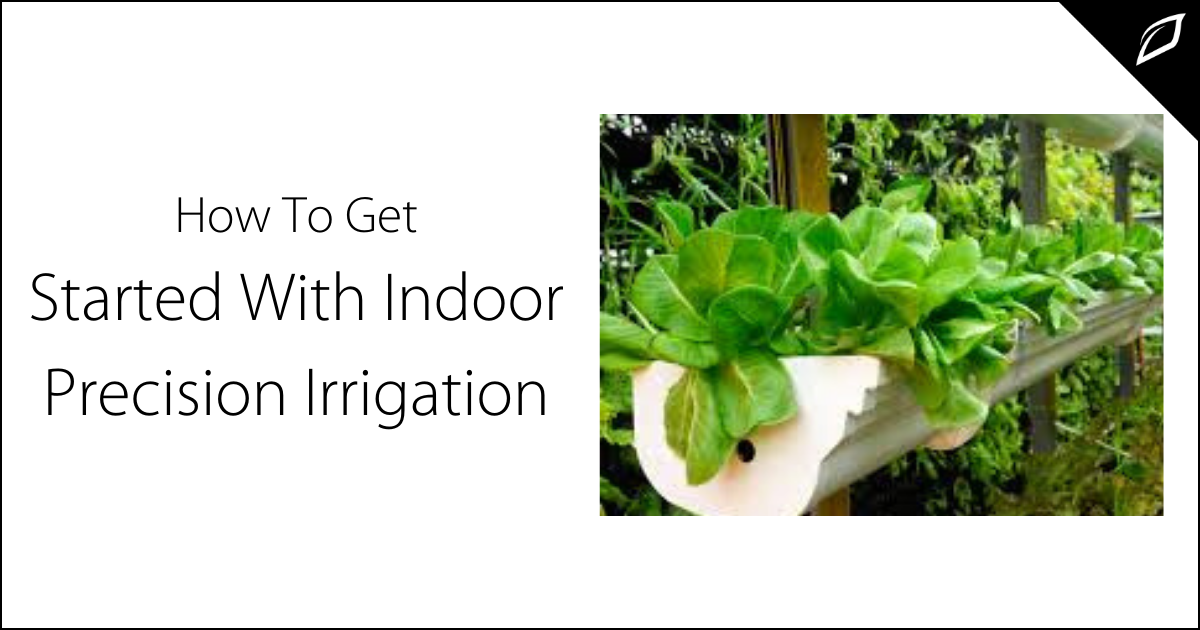 How To Get Started With Indoor Precision Irrigation | Growlink