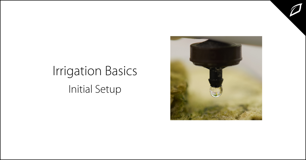 Crop Irrigation Basics | Initial Crop Setup Guide | Growlink