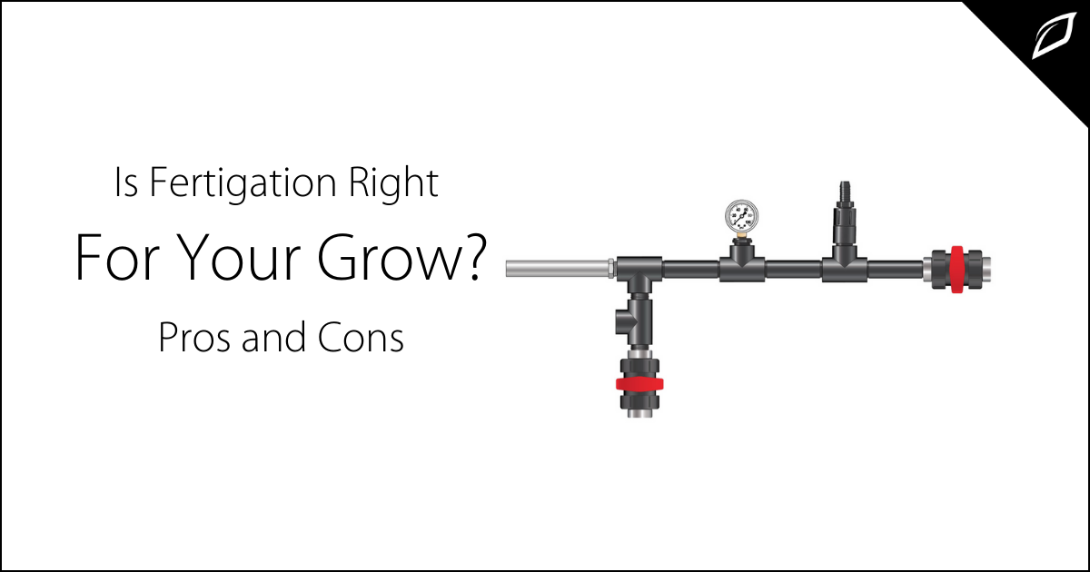 Pros and Cons of Fertigation | Is Fertigation Right For You? | Growlink