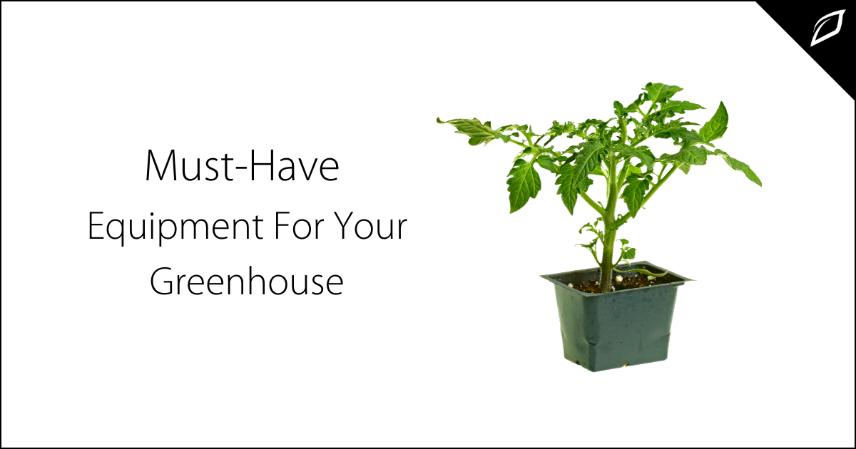 Must-Have Equipment For Your Greenhouse | Growlink