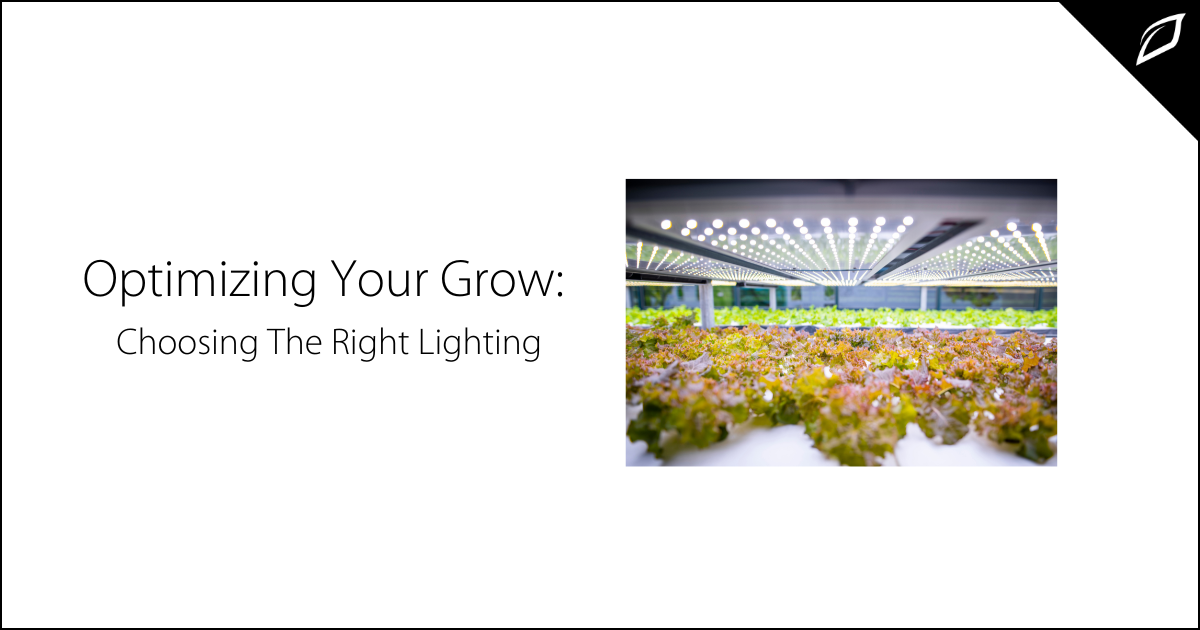 Choosing  Between HPS &amp; LED Lighting For Cannabis Growth | Growlink