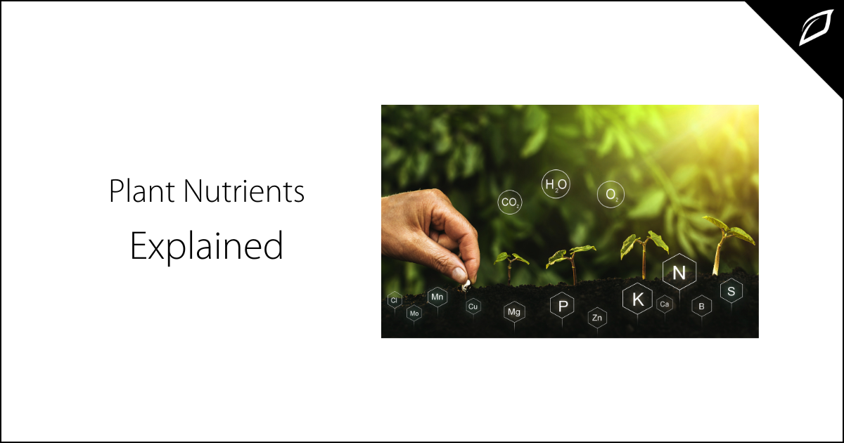 Cannabis Plant Nutrients Explained | Cannabis Fertilizer | Growlink