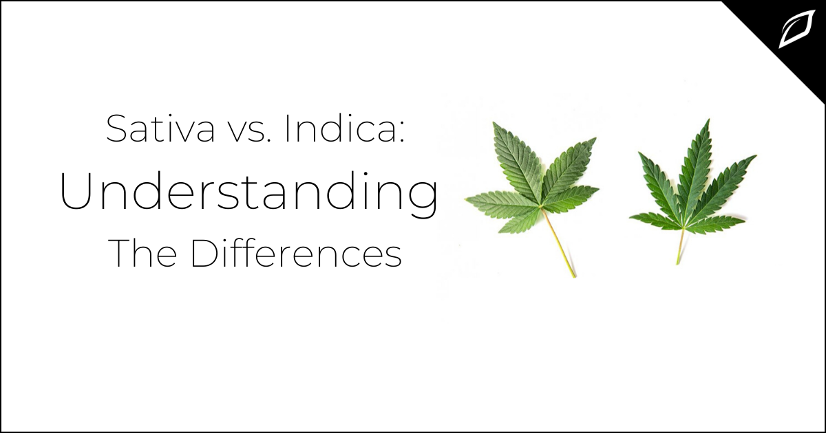 The Difference Between Indica and Sativa | Growlink