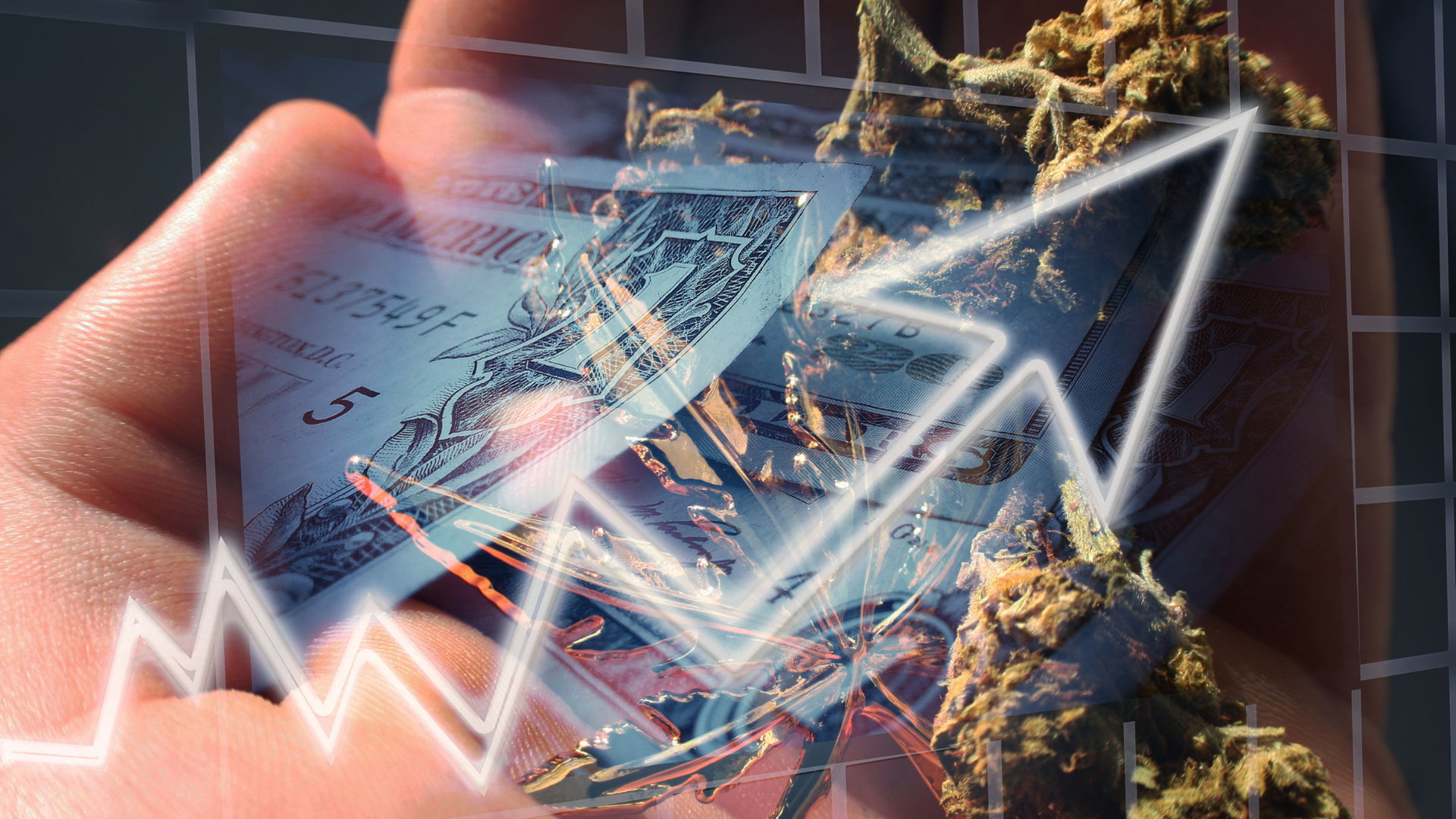 The Current State of the Cannabis Industry:  Challenges, Federal Momentum, and Implications