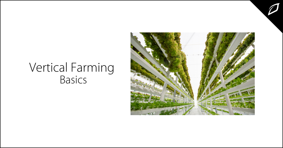Vertical Farming Basics | What is Vertical Farming? | Growlink