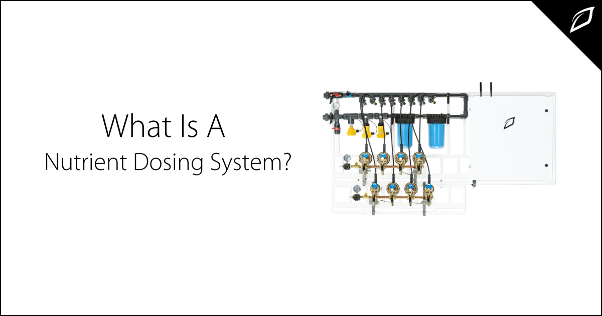 What Is A Nutrient Dosing System?