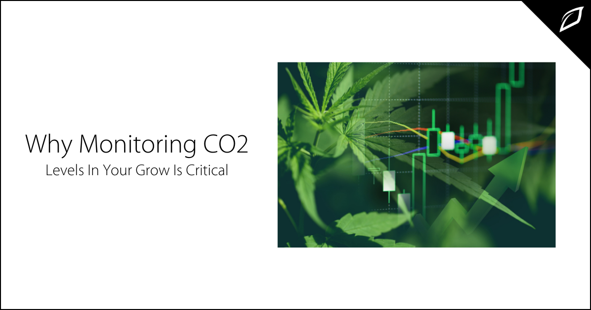 Why Monitoring CO2 Levels In Your Grow Is Critical | Growlink