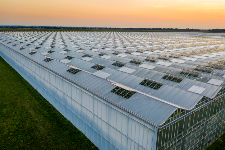 How A System With a Controlled Environment Can Help Crops | Growlink