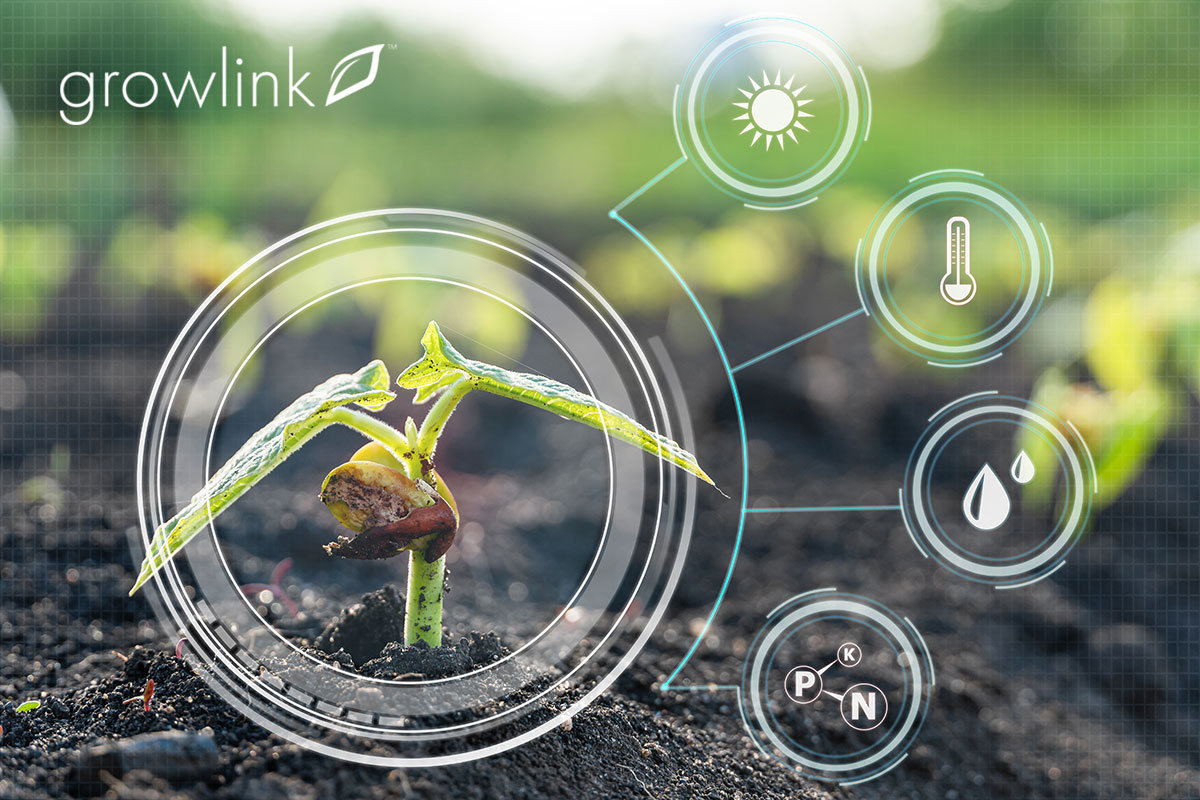 Sustainable &amp; Efficient Controlled Environment Agriculture | Growlink